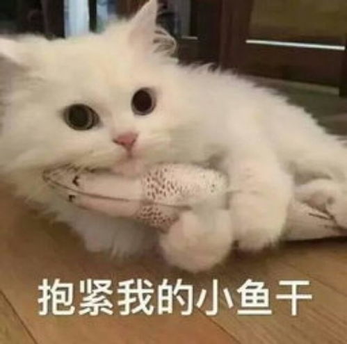 学习爬虫,get和post请求的区别是你必须要知道的