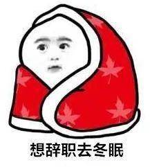 面对跳水式降温朋友圈晒雪景大赛火热展开你的秋裤别忘穿