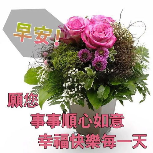 三月阳光祝福图片表情包早晨问候语图片微信