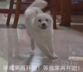 周淑怡直播间太难顶小姐姐深夜热舞遭整改