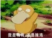 斗图我好累,我要姐姐抱着睡