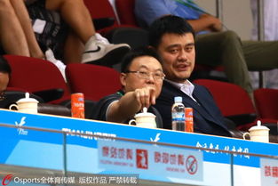 组图全运会男篮成年组小组赛姚明看台观战再献表情包