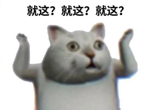 最近超火的痴呆猫表情包