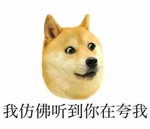 斗图圈里的那些网红表情包,来呀互相伤害呀