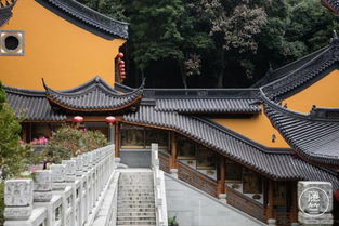 会员月免费住杭州隐竺有酒有茶有美食,在景区里的这家禅意民宿里听空谷梵音