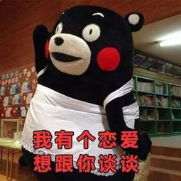 什么,你竟然还是单身买宝典吗单身狗的葵花宝典帮你脱单