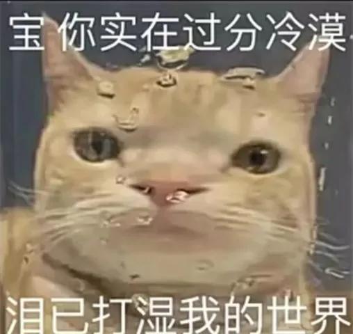 舔狗出没请回避