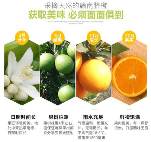 干燥的冬季需要这口酸甜多汁,赣南脐橙特惠预售买3斤送3斤