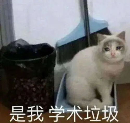 11.24表情包喝酒吗今晚推你回去一麻袋把你带回家