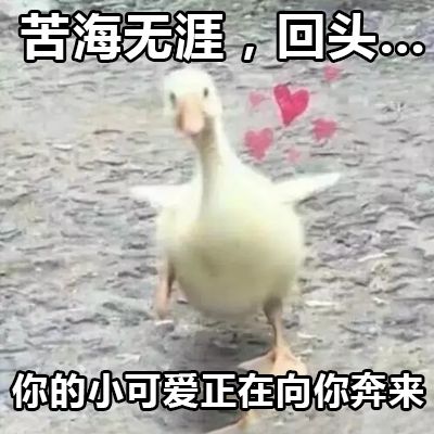 撩汉表情包来了,百试百灵快抱走