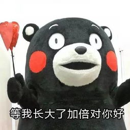 明天,带上妈妈,就在宁波约个会吧最全游玩攻略都给你准备好了
