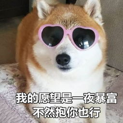鬼畜版表情包喜欢你已超过2分钟,不能撤回了