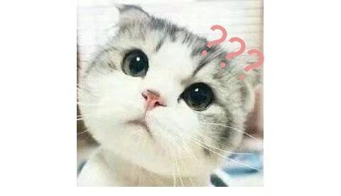 哇,可爱猫咪表情包来了,喜欢猫咪的快来收图,萌得我一塌糊涂