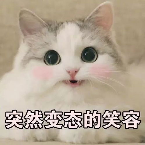 想勉强混四年我劝你试试转专业
