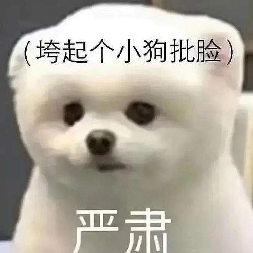 哈哈大笑表情包动图马踏飞燕