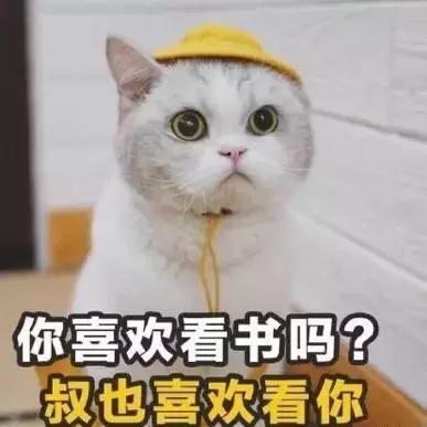 我在和同行谈恋爱