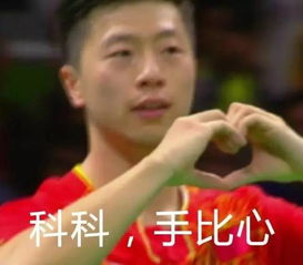 里约奥运中国中国男乒再夺冠赵帅创造历史可是网友却在关注科科和龙龙浙江之声奥运特派记者袁奇翔报道