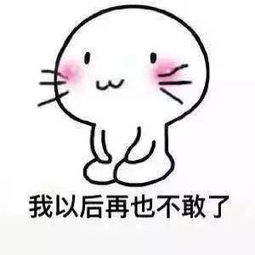 老公向老婆认错表情包