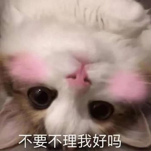 喉咙痛要废了表情包