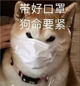 来这里,我氧你啊