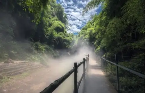 秋天的川西竹海才是真仙境