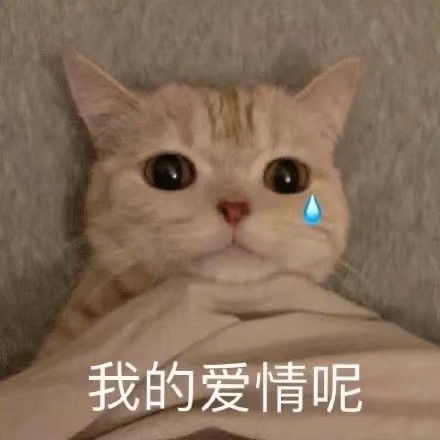 动漫情侣头像我知道你也在向我靠近星河万顷都是我的见面礼