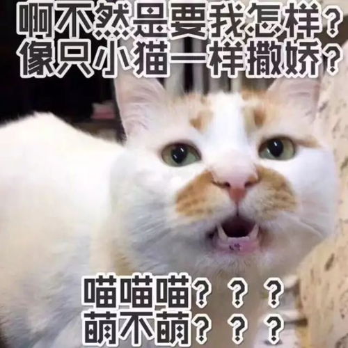 大学里,每个同学都有自己的生活圈子,你属于哪一种