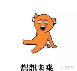 论如何在酷暑透心凉心飞扬