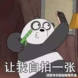 爆笑段子昨晚做了个梦,一小孩叫我救救他老婆