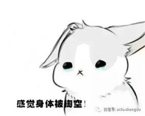教师节到啦,两大活动尽享教师节
