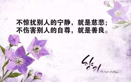曲姿精致女人正能量句子女人励志经典语录
