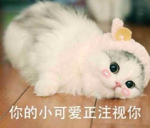 表情包小可爱超萌马丽