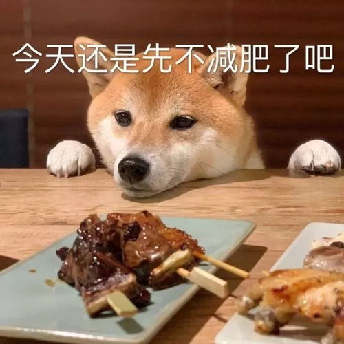 表情包脸皮一厚,征服宇宙