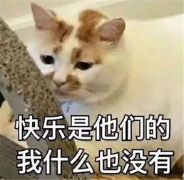 招聘你想要诗和远方吗