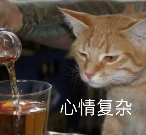 官宣即分手,这对小情侣房子也塌了