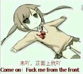 别再追我了表情包不上