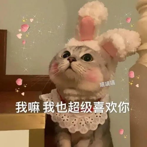 可爱小表情适合发给喜欢的人