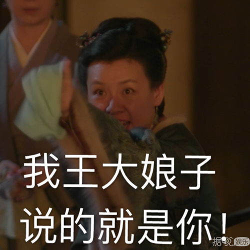 广场舞大妈表情包图片知否知否