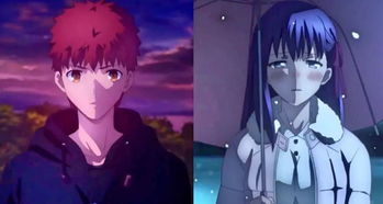 为什么说天之杯恶兆之花是fatestaynight最强故事线