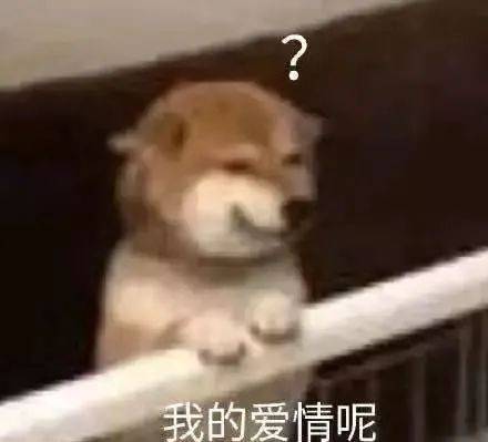 考研人的高光时刻你上头了吗