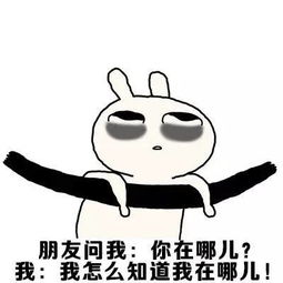 起来吧朕的籽岷表情包退朝