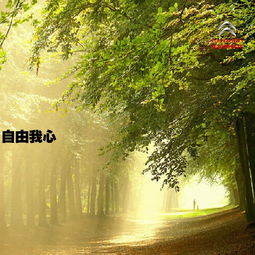让我看看你的自由与精彩