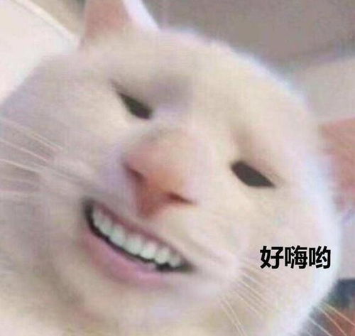 民营运营商再出奇招100g通用流量0.1元分钟,月租9元起心动么