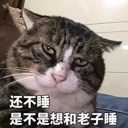 尬聊癌发作,李诞说只要妹子不直接的拒绝,男的都会觉得你喜欢我