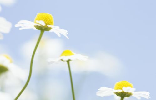 未来30天,好运砸头,惊喜连连的3大生肖