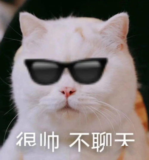 我绝世小可爱