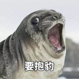 表情包大战弹药补充处