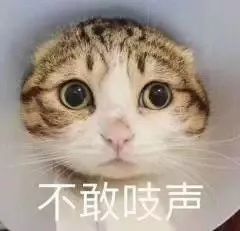 重磅山东16市最新地价出炉滨州1608㎡