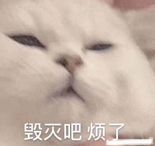 你死了表情包野猪