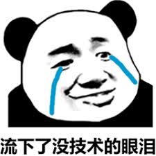 程序员的表情包最后一个你懂的